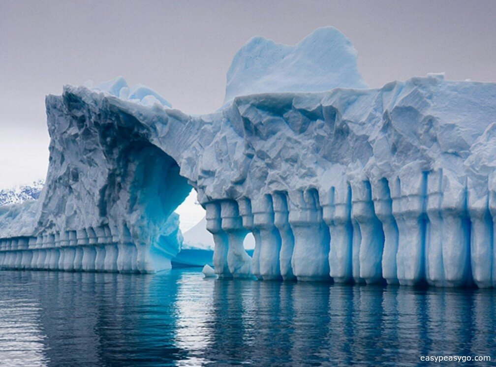 The Polar Regions: Arctic and Antarctica