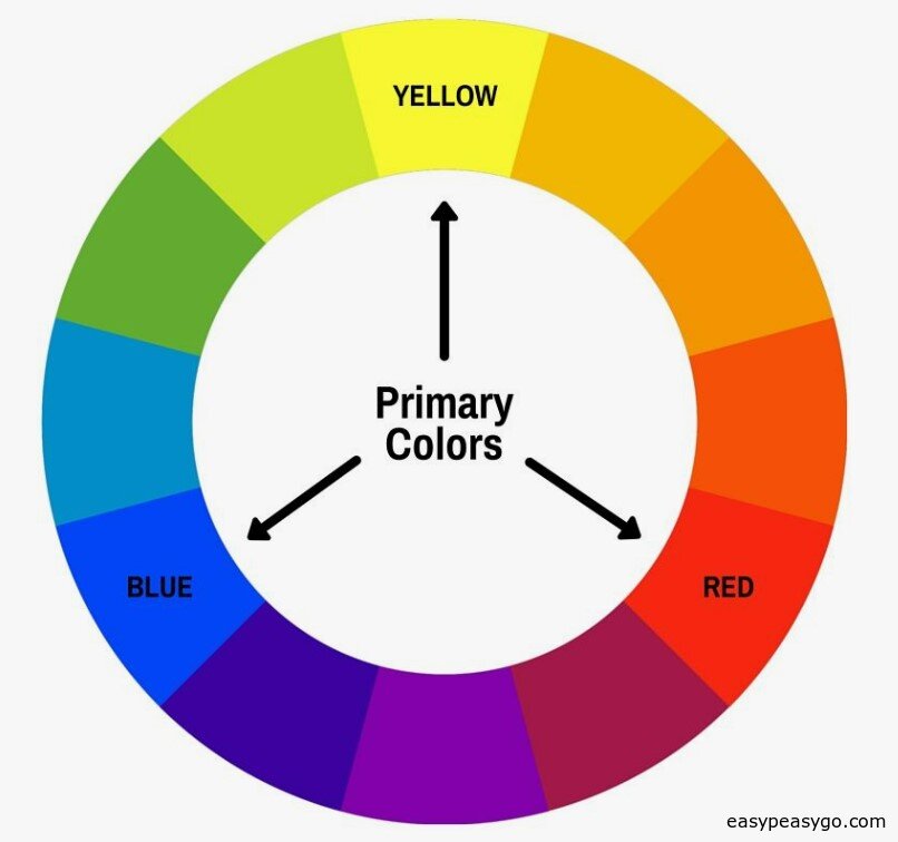 What is Color?